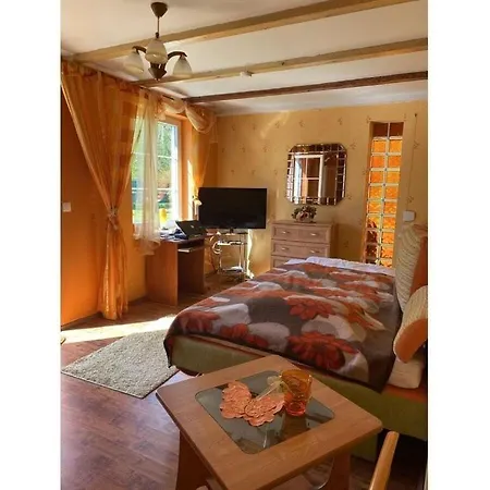 Sunshine Comfortable Holiday