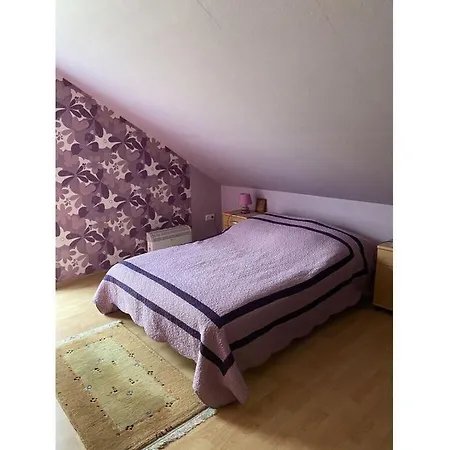 Sunshine Comfortable Holiday Sasino